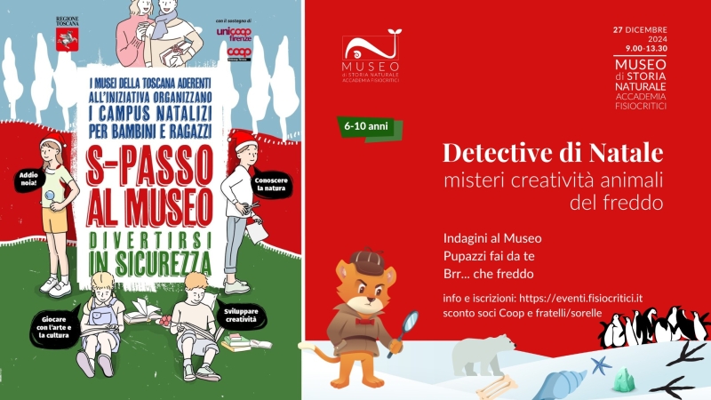 DETECTIVE DI NATALE: misteri creatività animali del freddo